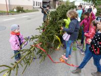 2015-04-30 TTC Maibaum stellen 006 (P1090066)